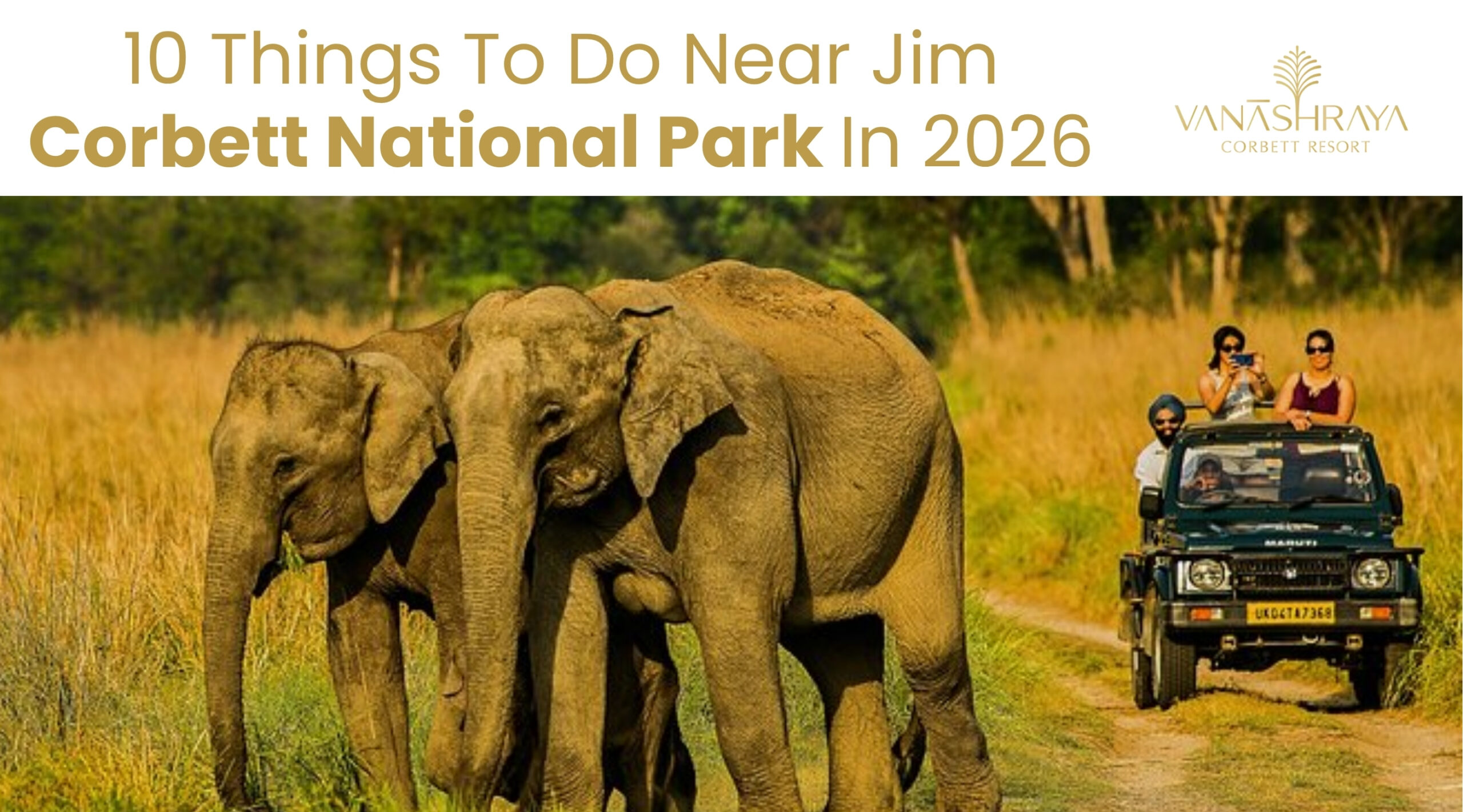10 Things To Do Near Jim Corbett National Park In 2026