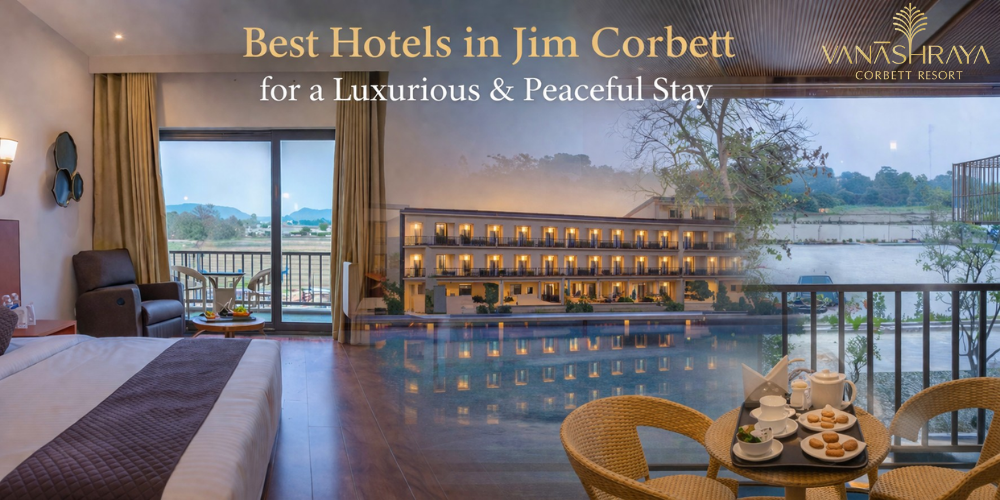 Best Luxury Hotels in Jim Corbett